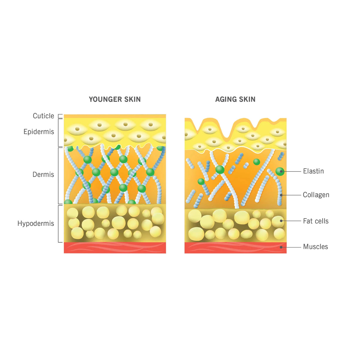 Advanced Nutrition Programme Skin Collagen Support, view 2